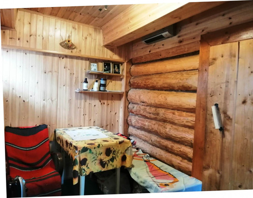 Продам дачу, Южная 6-я ул, 4, Химик-1 тер. СНТ, 0 км от города