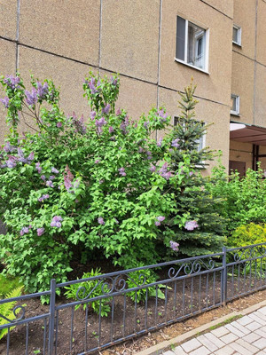 Продам двухкомнатную (2-комн.) квартиру, Шоссейная ул, 38, Бугры п