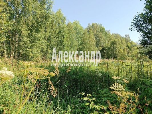 Продам участок 10 соток, ИЖС, Кеппа ул, Выборг г, 10 км от города