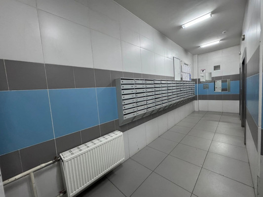 Продам однокомнатную (1-комн.) квартиру, Дружбы (Зенино ЖК Самолёт мкр.) ул, 11/26, Люберцы г