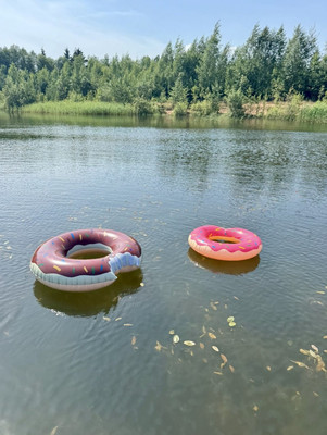 Продам участок 12 соток, Садоводство, Дружноселье п, 0 км от города