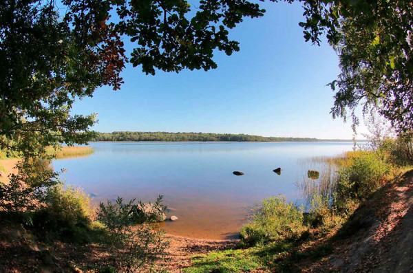 Продам участок 12 соток, Садоводство, Дружноселье п, 0 км от города