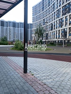 Сдам однокомнатную (1-комн.) квартиру, Авиаторов Балтики пр-кт, 25, Мурино п