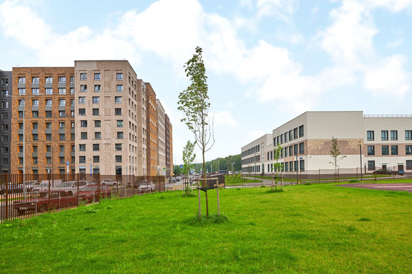Продам трехкомнатную (3-комн.) квартиру, Луговая ул, 3, Заречье рп