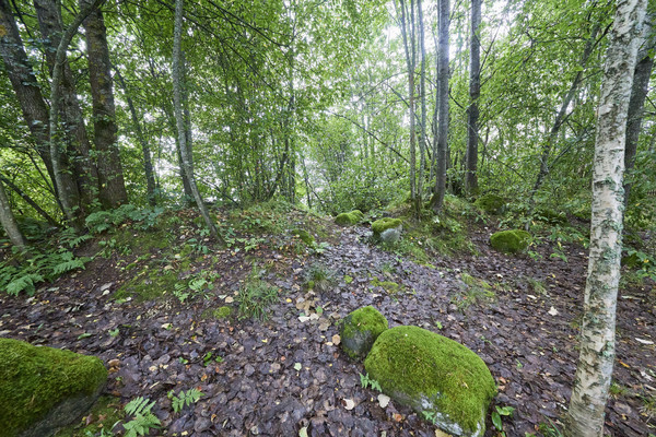 Продам дом, Заозерная ул, Мичуринское п, 0 км от города