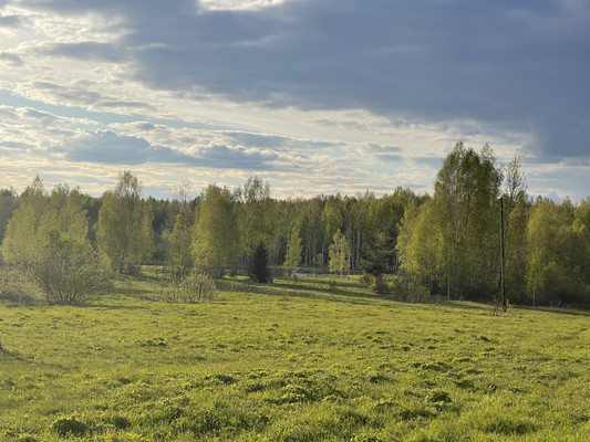 Продам дом, Цветочная ул, Алферьево с, 0 км от города