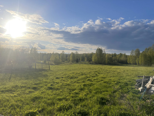 Продам дом, Цветочная ул, Алферьево с, 0 км от города