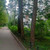 Продам трехкомнатную (3-комн.) квартиру, Заречная ул, 17, Сертолово г