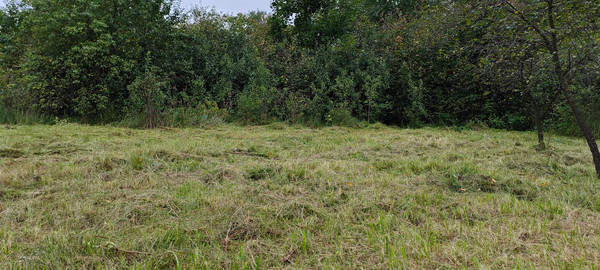 Продам дом, Садовая ул, 7, Родники дп, 0 км от города