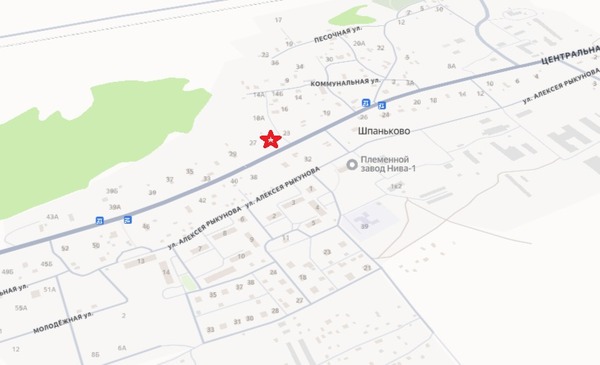 Сдам торговое помещение 43 м2, Центральная ул, 25, Шпаньково д