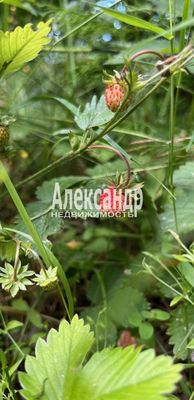 Продам участок 15 соток, Садоводство, Куркиекское ш, Хийтола п, 180 км от города