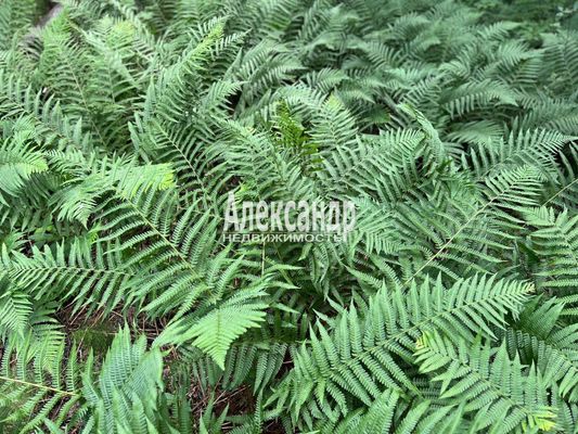 Продам участок 10,37 соток, Садоводство, Куркиекское ш, Хийтола п, 180 км от города