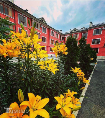 Продам трехкомнатную (3-комн.) квартиру, Шогенова ул, 75, Нальчик г