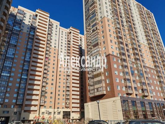 Сдам однокомнатную (1-комн.) квартиру, Есенина ул, 1к1, Санкт-Петербург г