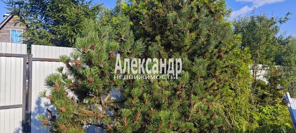 Продам дом в поселке с.т. Дивное-2, 3 проезд, Туровка д, 70 км от города