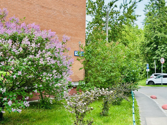Продам двухкомнатную (2-комн.) квартиру, Школьная ул, 1, Ангелово с