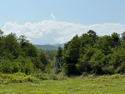 Продам участок 15 соток, ИЖС, Заречная ул, 4, Пригорное с, 0 км от города