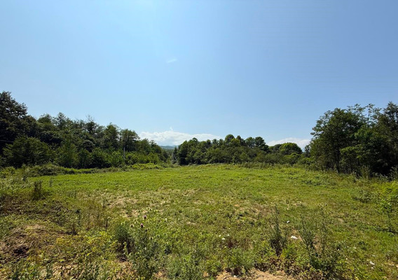 Продам участок 15 соток, ИЖС, Заречная ул, 4, Пригорное с, 0 км от города