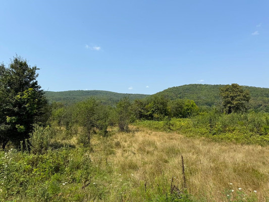 Продам участок 15 соток, ИЖС, Заречная ул, 4, Пригорное с, 0 км от города