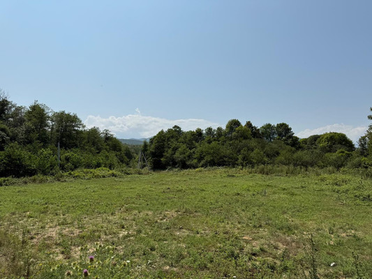 Продам участок 35 соток, ИЖС, Заречная ул, 8, Пригорное с, 0 км от города