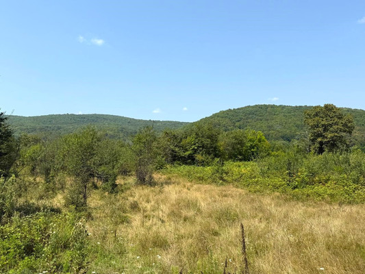 Продам участок 35 соток, ИЖС, Заречная ул, 8, Пригорное с, 0 км от города