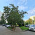 Продам трехкомнатную (3-комн.) квартиру, Южнобутовская ул, 121, Москва г