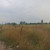 Продам участок 6 соток, ИЖС, Удобный п, 0 км от города