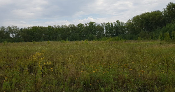 Продам участок 45 соток, ИЖС, Никитино д, 0 км от города