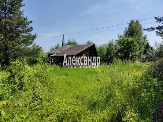 Продам дом в поселке Берёзка-3, 7-я (Онега тер. СНТ) аллея, 42, Пупышево массив, 99 км от города
