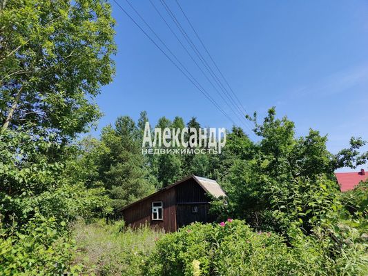 Продам дом в поселке Берёзка-3, 7-я (Онега тер. СНТ) аллея, 42, Пупышево массив, 99 км от города