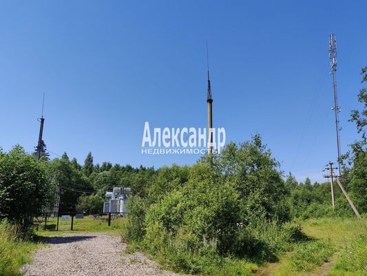 Продам дом в поселке Берёзка-3, 7-я (Онега тер. СНТ) аллея, 42, Пупышево массив, 99 км от города