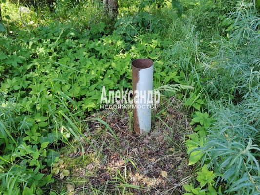 Продам дом в поселке Берёзка-3, 7-я (Онега тер. СНТ) аллея, 41, Пупышево массив, 99 км от города