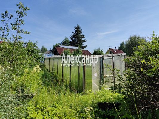 Продам дом в поселке Берёзка-3, 7-я (Онега тер. СНТ) аллея, 41, Пупышево массив, 99 км от города