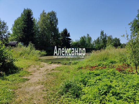 Продам дом в поселке Берёзка-3, 7-я (Онега тер. СНТ) аллея, 41, Пупышево массив, 99 км от города