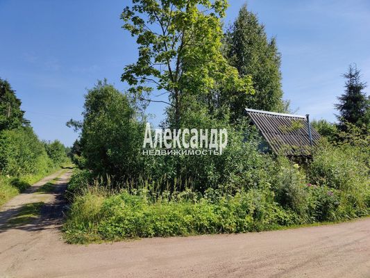 Продам дом в поселке Берёзка-3, 7-я (Онега тер. СНТ) аллея, 41, Пупышево массив, 99 км от города