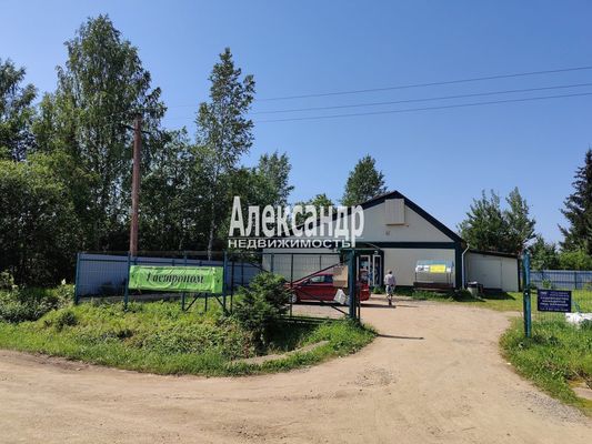 Продам дом в поселке Берёзка-3, 7-я (Онега тер. СНТ) аллея, 41, Пупышево массив, 99 км от города