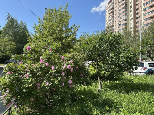 Продам двухкомнатную (2-комн.) квартиру, Просвещения пр-кт, 30к1, Санкт-Петербург г