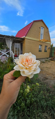 Продам дом, НСОТ Цимлянский садовод тер, Цимлянск г, 0 км от города
