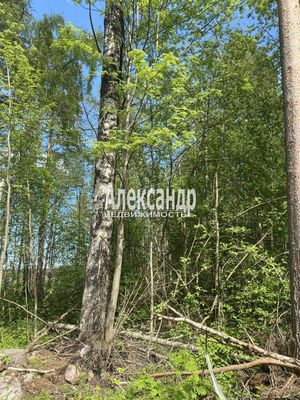 Продам участок 10 соток, Садоводство, Ларионово п, 120 км от города