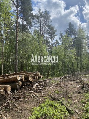 Продам участок 10 соток, Садоводство, Ларионово п, 120 км от города