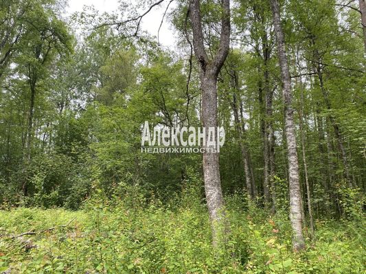 Продам участок 10 соток, Садоводство, Ларионово п, 120 км от города