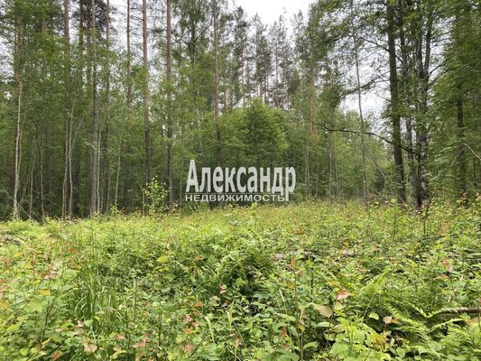Продам участок 10 соток, Садоводство, Ларионово п, 120 км от города