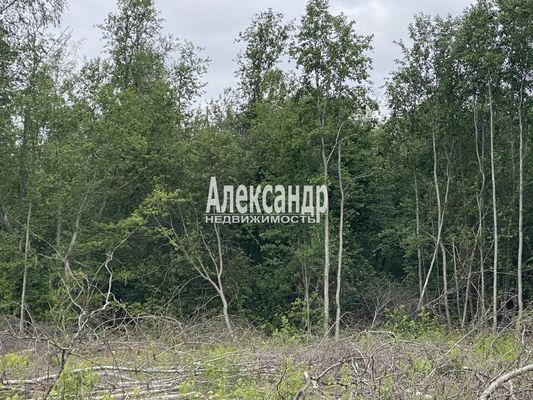 Продам участок 10 соток, Садоводство, Ларионово п, 120 км от города