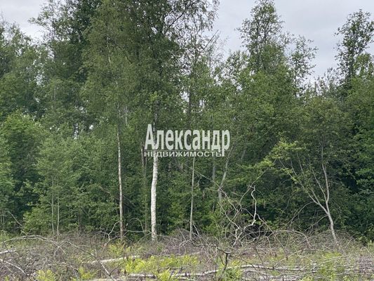 Продам участок 10 соток, Садоводство, Ларионово п, 120 км от города