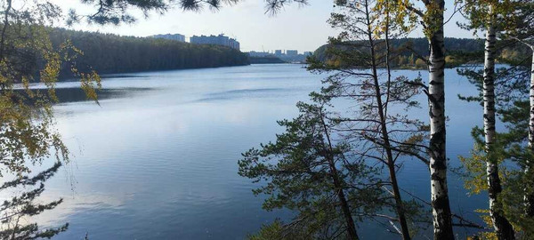 Продам участок 6,74 соток, ИЖС, Новая ул, Октябрьский рп, 0 км от города