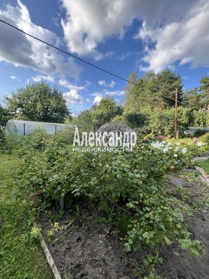 Продам дом в поселке СНТ Авиатор, Антоновская ул, 27, Выборг г, 120 км от города