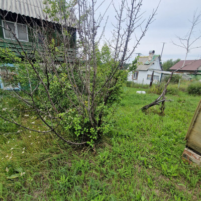 Продам дачу, 59, Топограф тер. СПК, 0 км от города