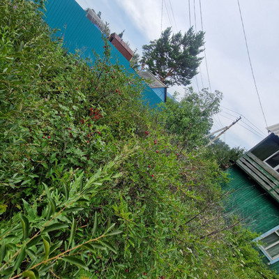 Продам дачу, 59, Топограф тер. СПК, 0 км от города