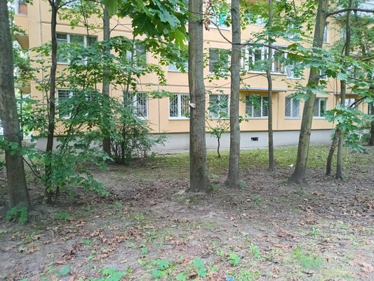 Продам двухкомнатную (2-комн.) квартиру, Федосеенко ул, 29, Санкт-Петербург г