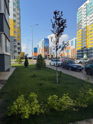 Продам однокомнатную (1-комн.) квартиру, Юрия Дубинина ул, 13, Ростов-на-Дону г